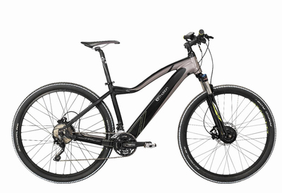 電動助力自行車的前世今生（下） 創新、爭議與未來之路